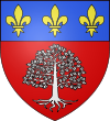 Blason commune 78562.png